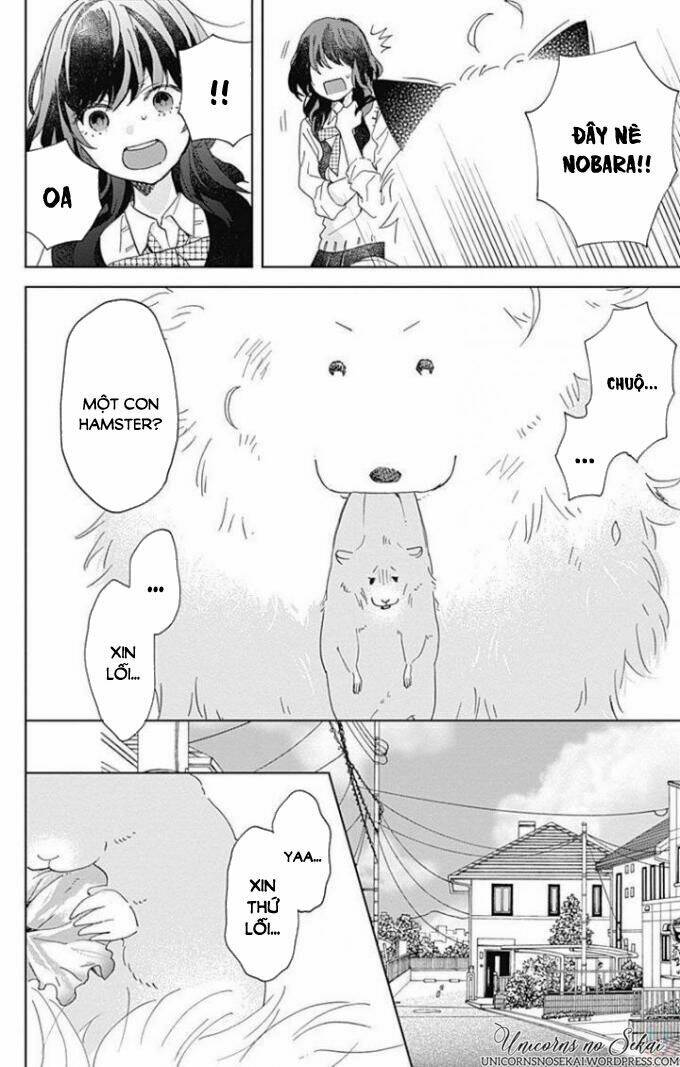 Kimi To Wonderland: Chapter 4