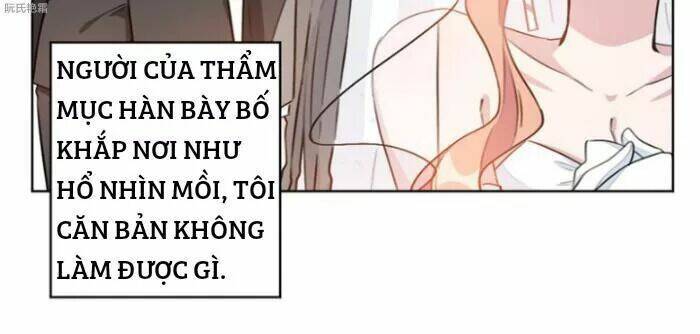 Trọng Sinh Noãn Hôn Khinh Sủng Thê: Chapter 7