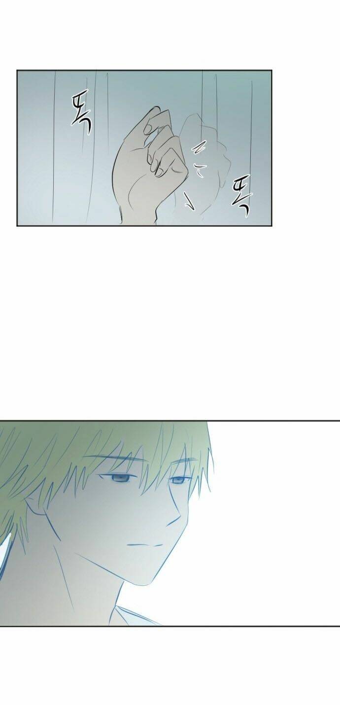 Transparent Cohabitation: Chapter 31