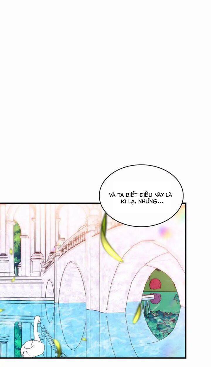 Lòng Trung Thành Với Kẻ Ác: Chapter 39