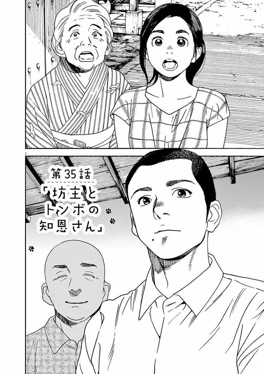 Neko No Otera No Chion-San: Chapter 35