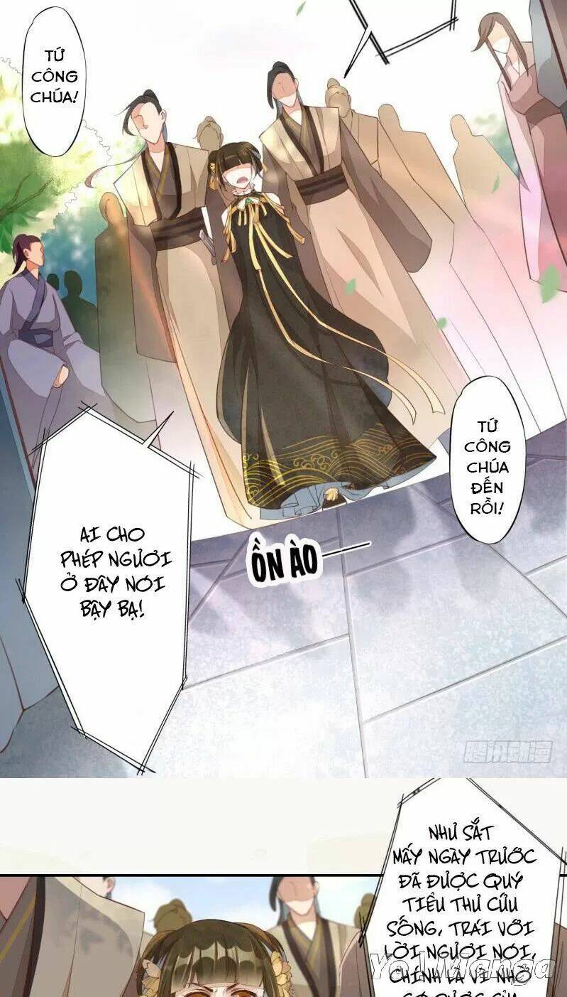 Tuyệt Thế Luyện Đan Sư: Chapter 67