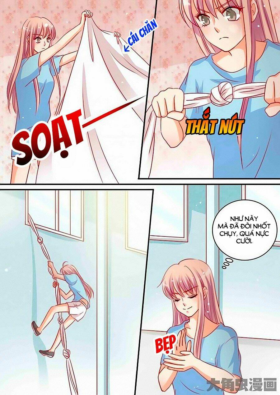 Bá Đạo Tổng Tài Yêu Ta: Chapter 96