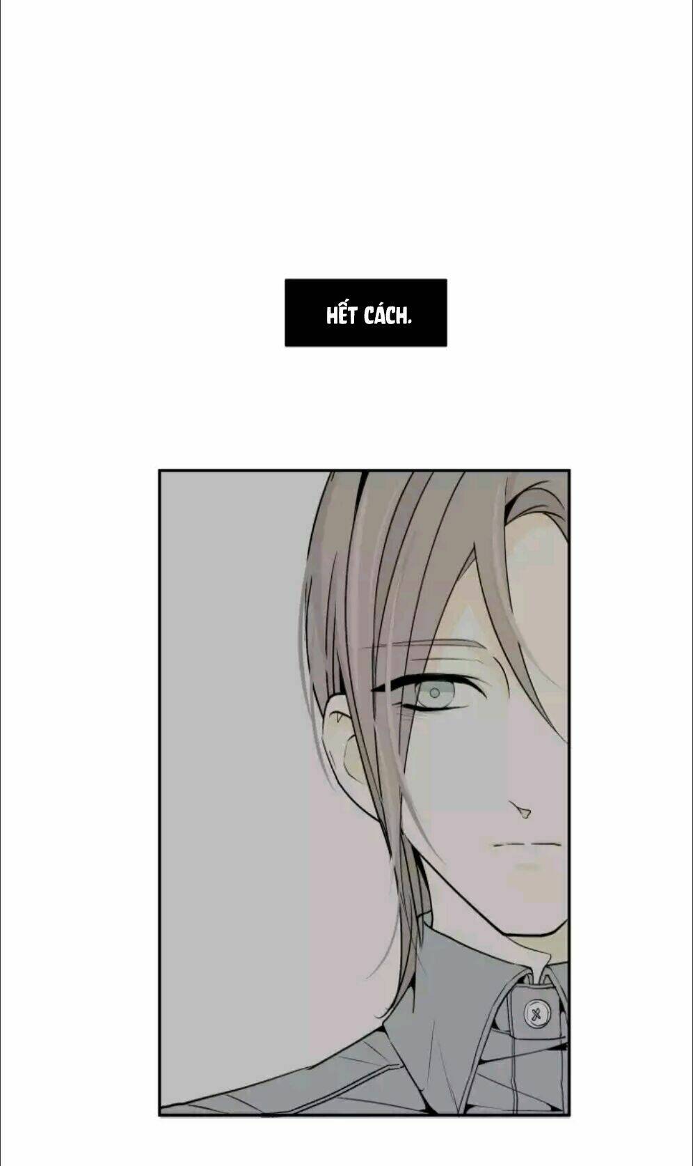 Tâm Chi Kiển: Chapter 5