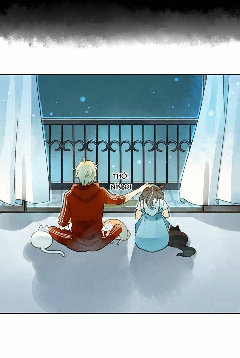 Sức Mạnh Của Sắc Đẹp: Chapter 49