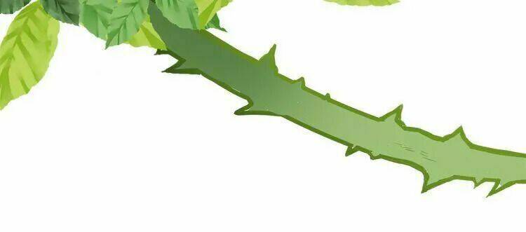 Thuần Trắng Vận Mệnh Chi Luân: Chapter 4