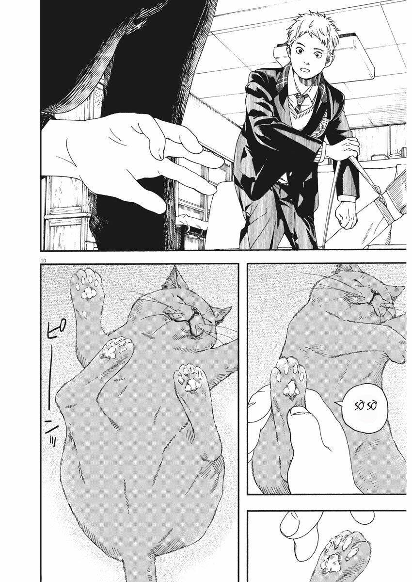 Neko No Otera No Chion-San: Chapter 67