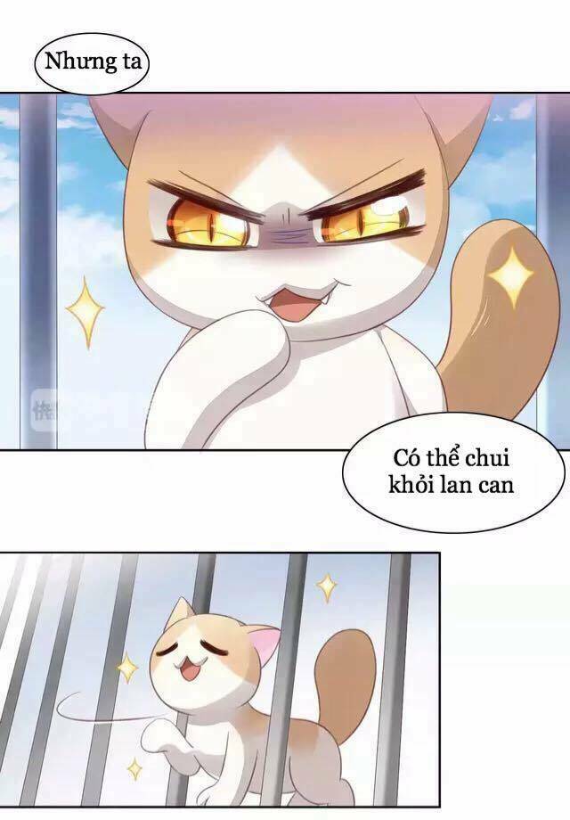 Dưới Móng Vuốt Mèo: Chapter 15