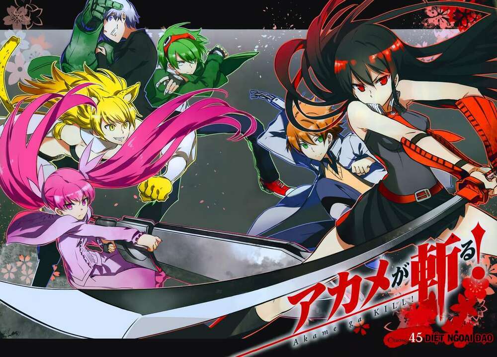 Akame Ga Kiru: Chapter 45