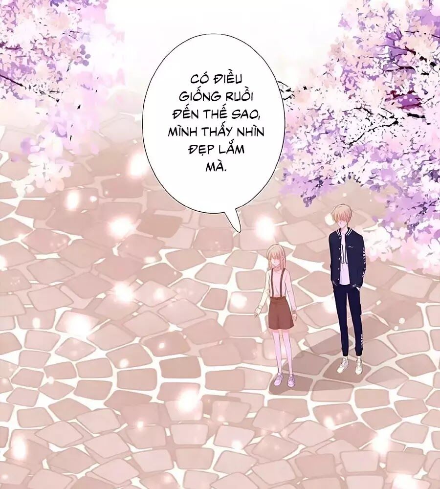 Hoa Chưa Nở Rộ: Chapter 19