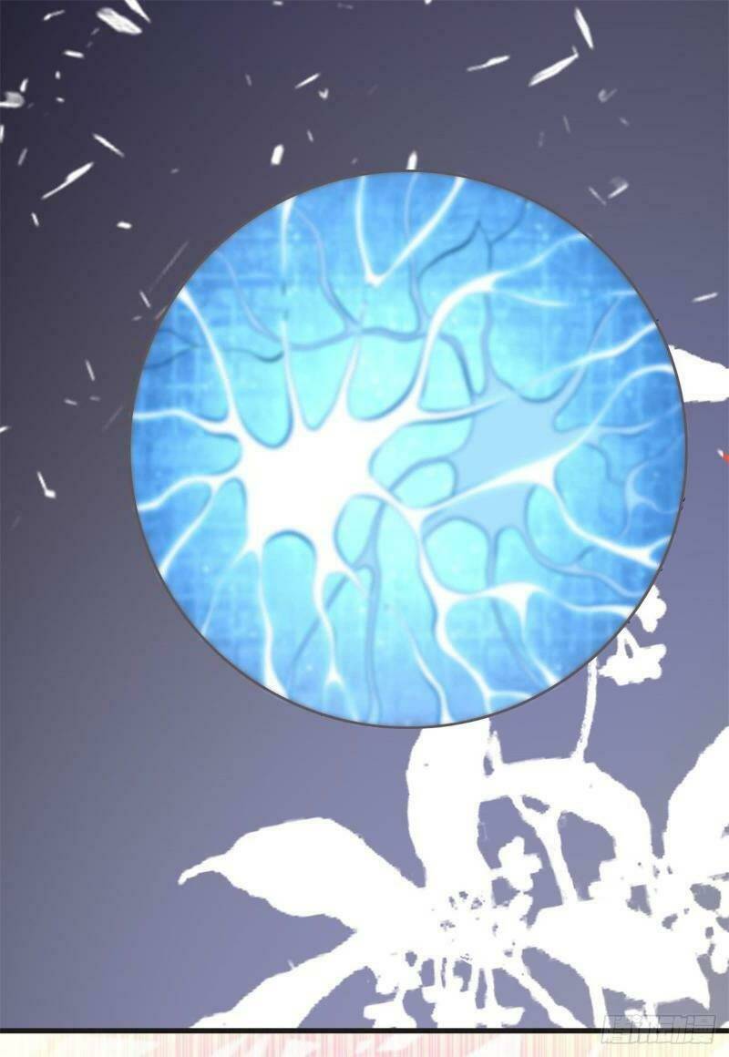 Đế Hoàng Chi Thần Y Khí Phi: Chapter 42