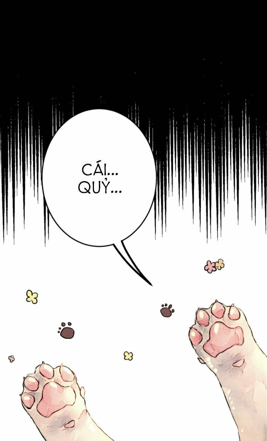 Cún Con Đáng Yêu Của Vị Hoàng Đế!: Chapter 0