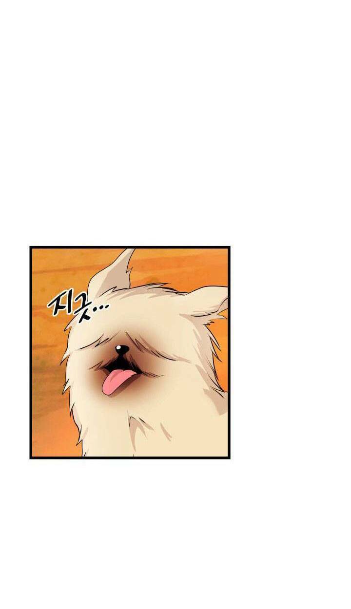 Cô Dâu Của Sói Đen: Chapter 17