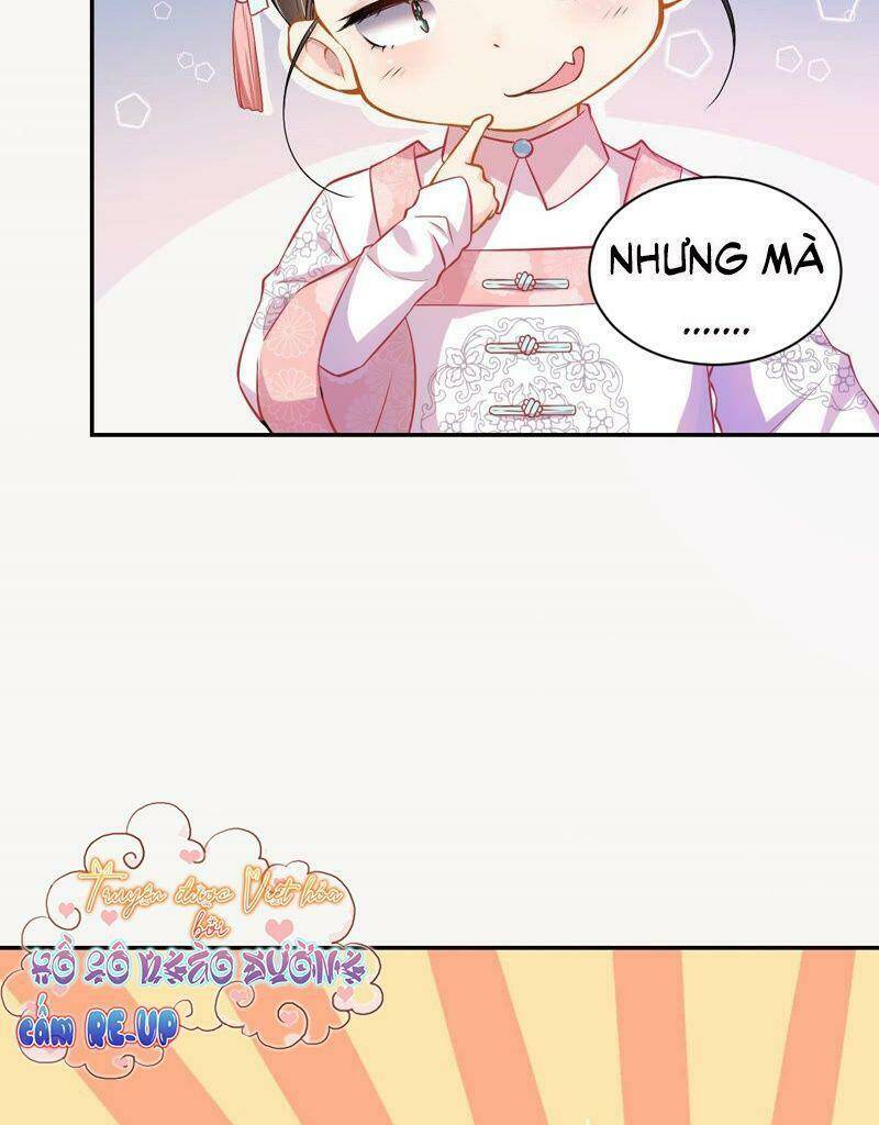 Quận Chúa Vững Vàng, Thiết Lập Nhân Vật Không Thể Vỡ: Chapter 3