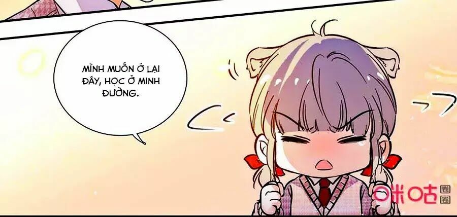 Thanh Ninh Chi Hạ: Chapter 430