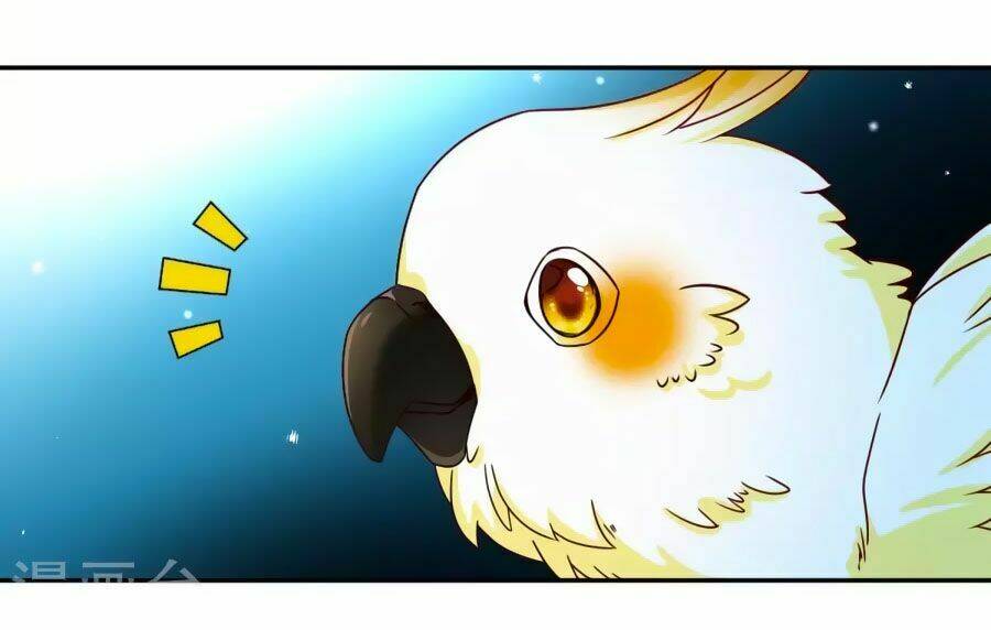 Huyền Vũ Luyến Ca: Vạn Vật Sinh Linh: Chapter 30.1