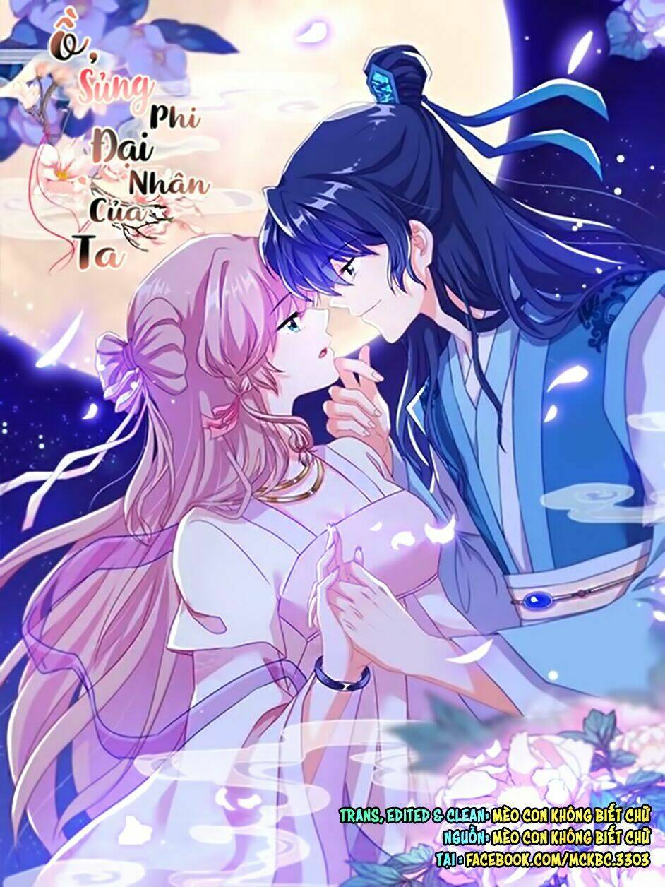 Ồ, Sủng Phi Đại Nhân Của Ta: Chapter 5