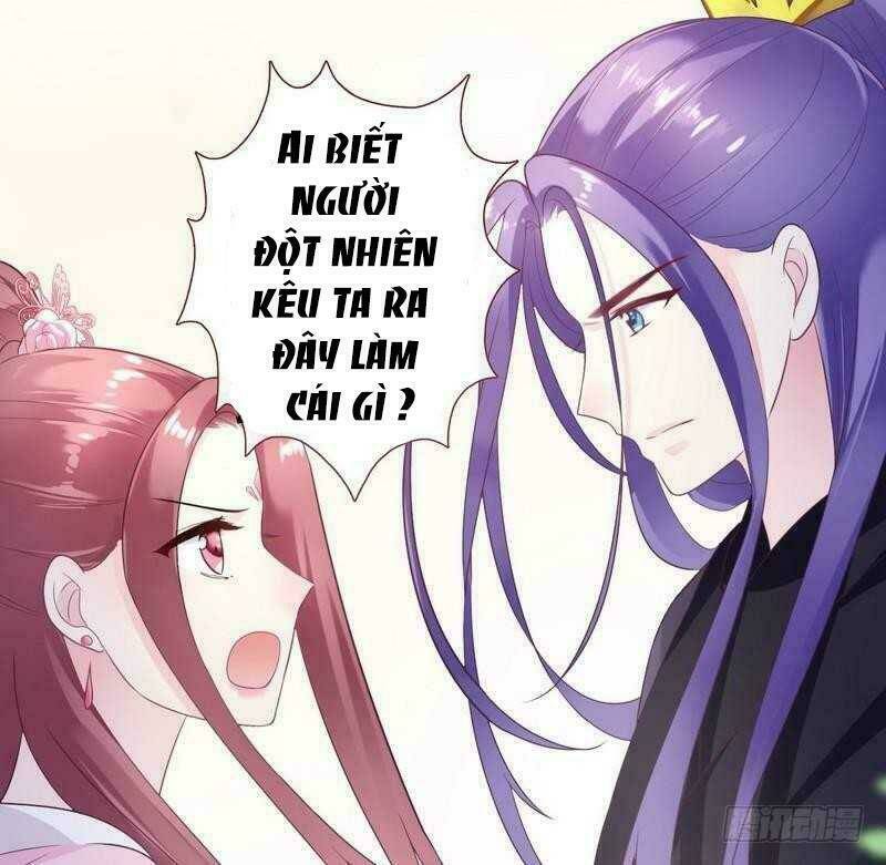 Vương Phi - Âm Động Thiên Hạ: Chapter 31