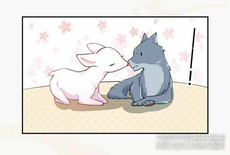 Tuyệt Thế Luyện Đan Sư: Chapter 34