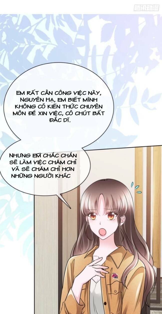 Boss Là Kim Chủ Của Tôi: Chapter 6