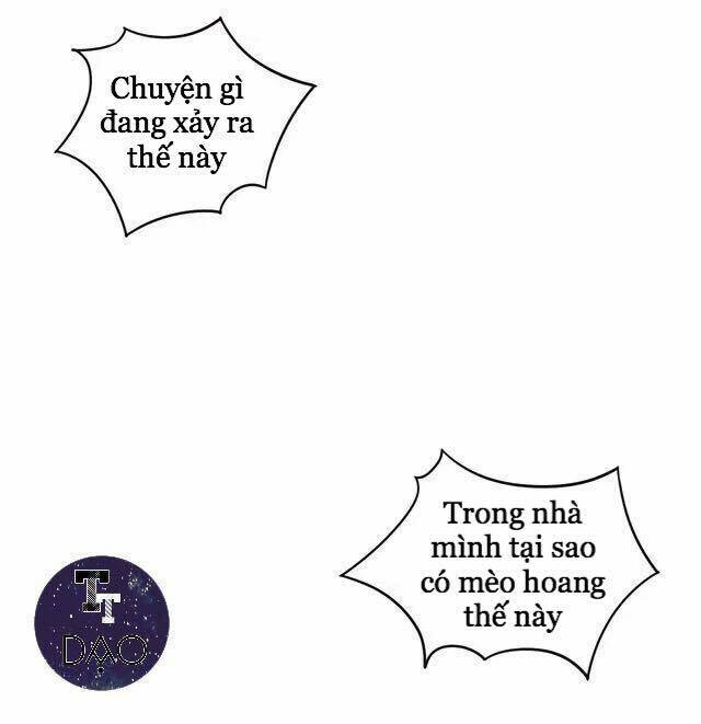 Dưới Móng Vuốt Mèo: Chapter 20