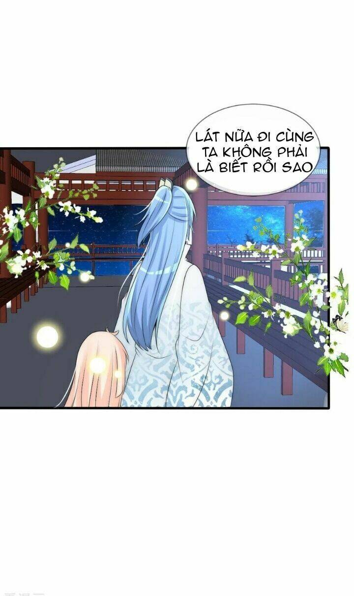 Kế Hoạch Sủng Ái Của Tiểu Công Chúa: Chapter 71