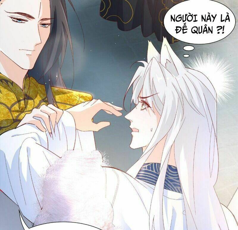 Ảnh Đế Yêu Hồ: Chapter 56