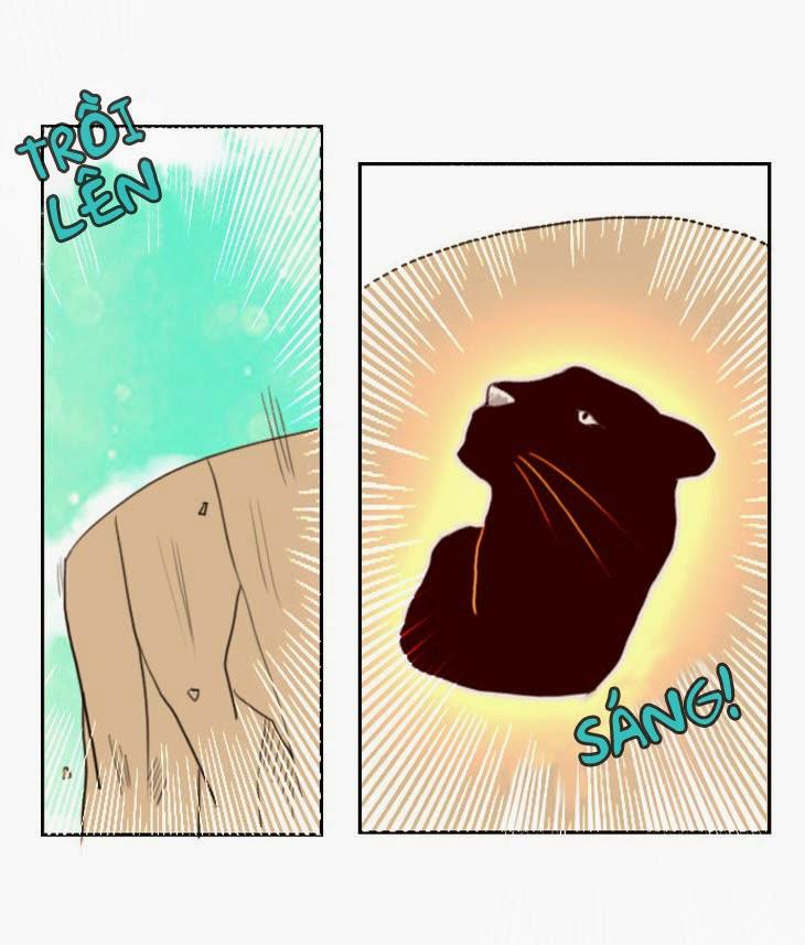 Flow: Chapter 7