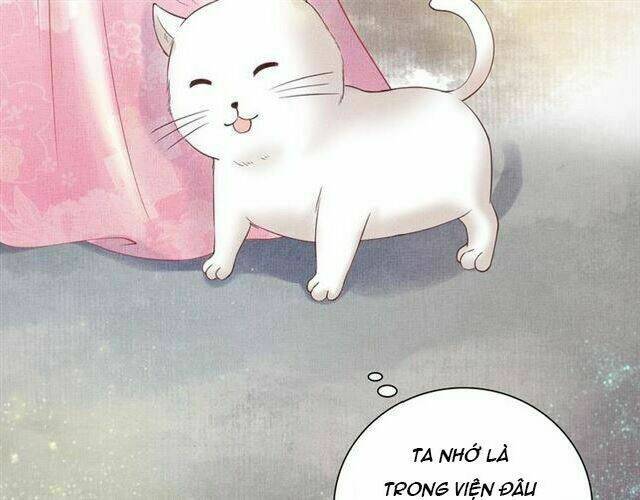Thịnh Sủng Y Phi Chi Dao Quan Truyện: Chapter 40