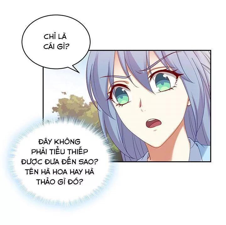 Đô đốc đại nhân sủng thê kí: Chapter 142: - Cảm Giác Hổ Thẹn