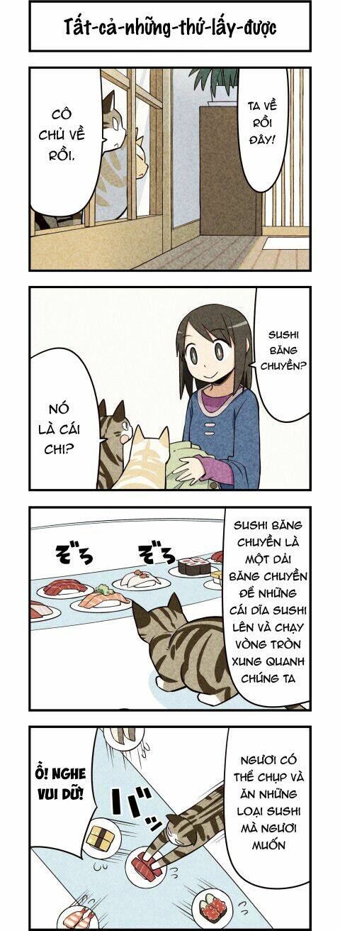 We Are Cat: Chapter 18