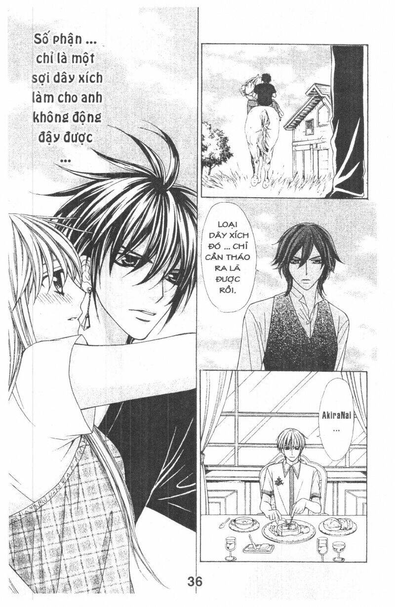 Trái Tim Kim Cương: Chapter 3