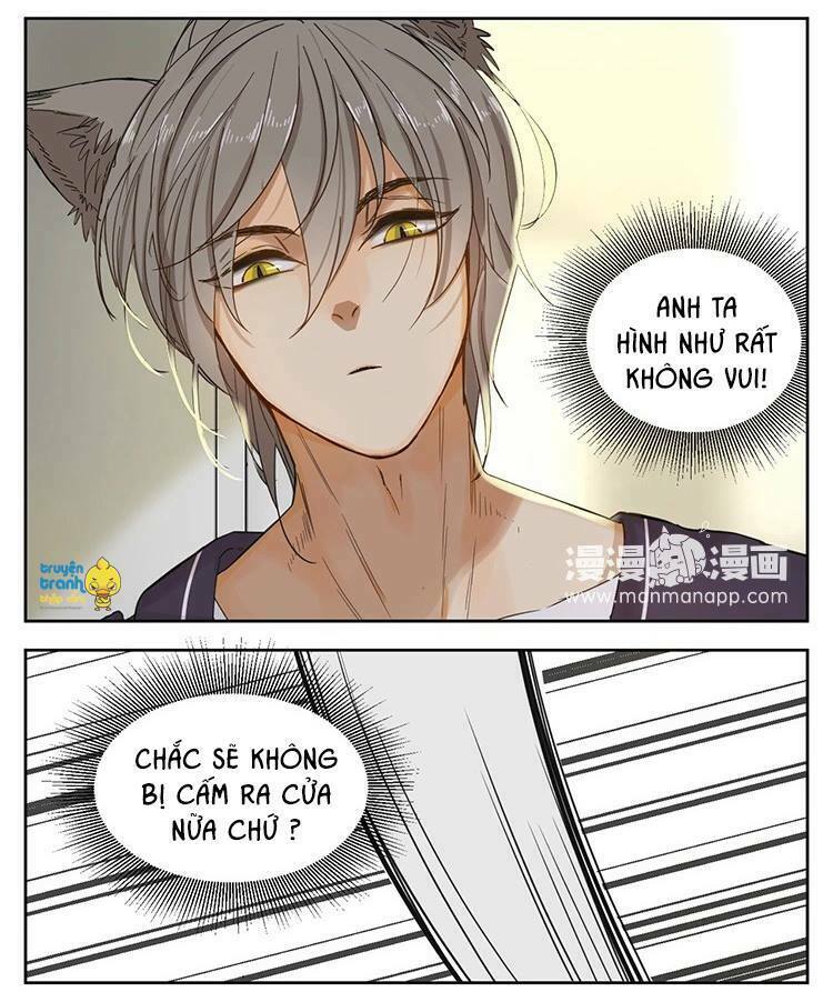 Cứu mạng ! Loài mèo thống trị thế giới rồi !: Chapter 12