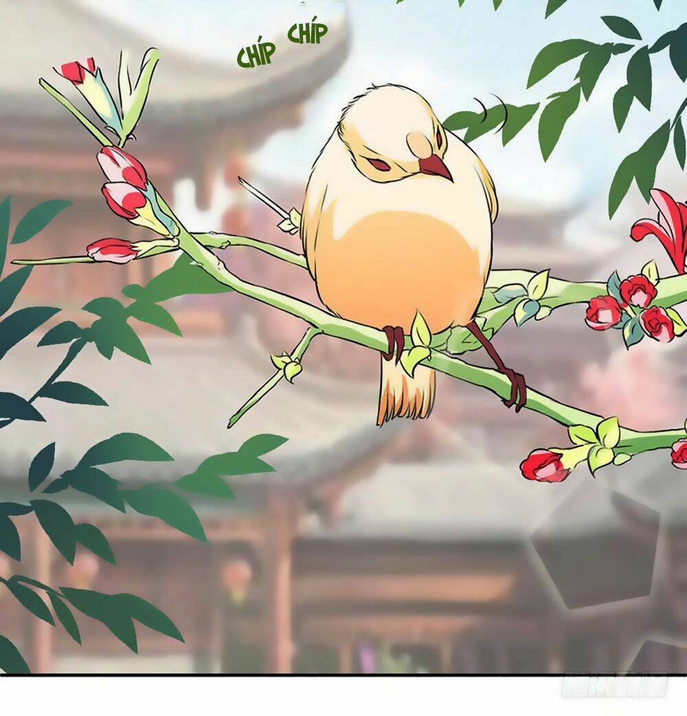 Liêu Liêu Nhân Thân Tu Tiên Truyện: Chapter 35
