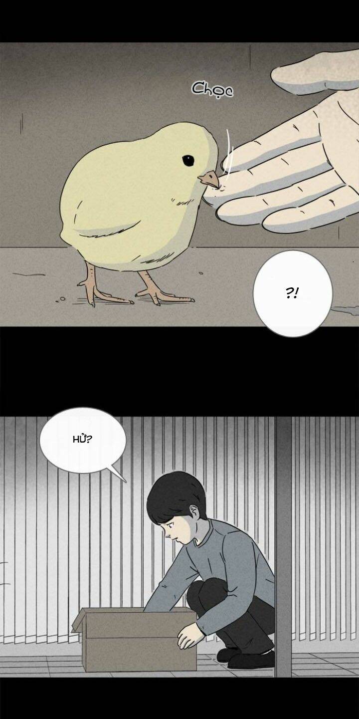 Những Câu Chuyện Bất Thường: Chapter 241