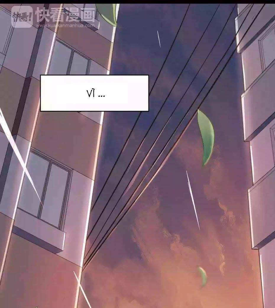 Đầu Gấu Biết Yêu: Chapter 1