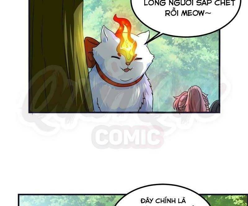 Phục Thù Thiếu Gia Tiểu Điềm Thê: Chapter 51