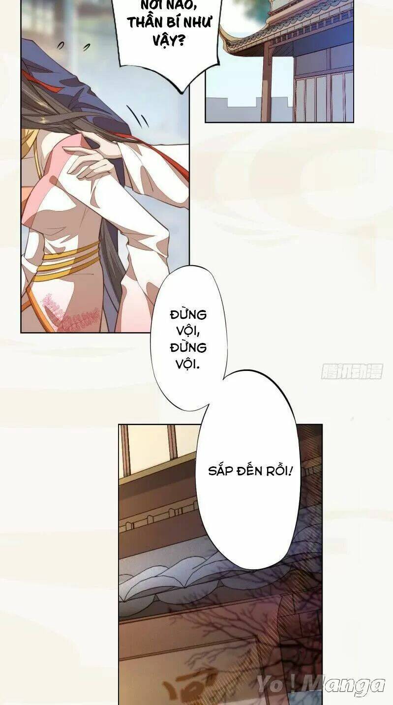 Tuyệt Thế Luyện Đan Sư: Chapter 103