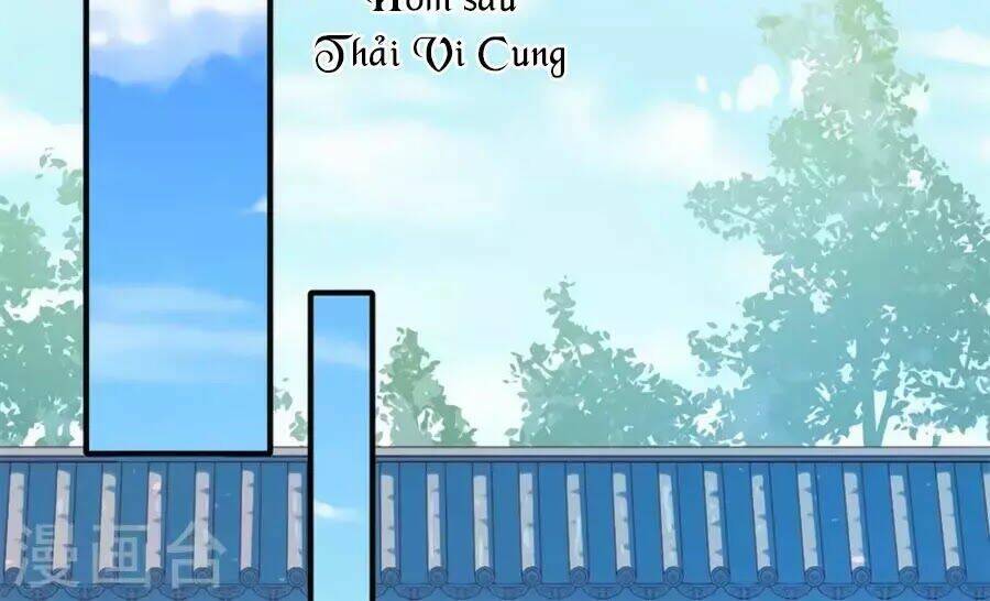 Khuynh Thế Y Phi Muốn Bỏ Chồng: Chapter 117