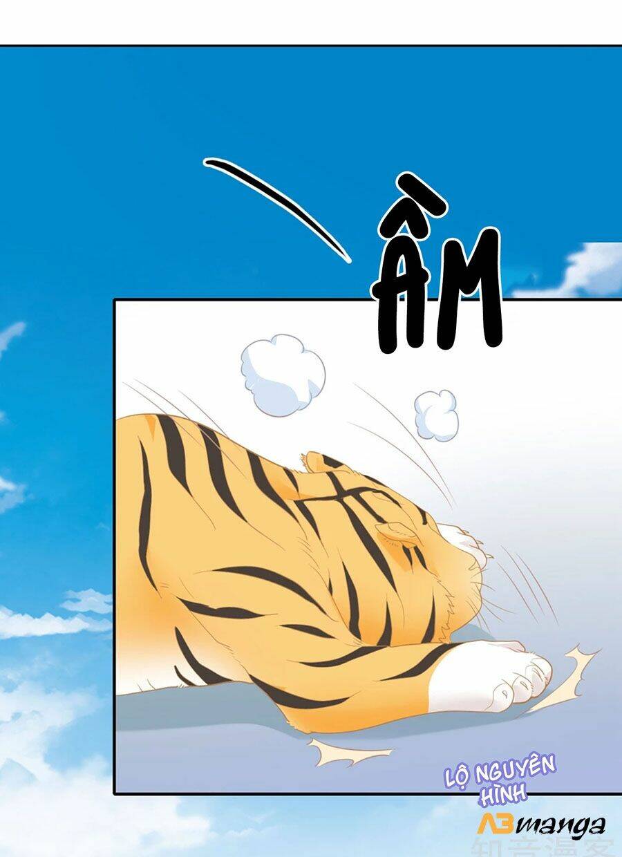 Hẹn Hò Siêu Tốc: Chapter 1