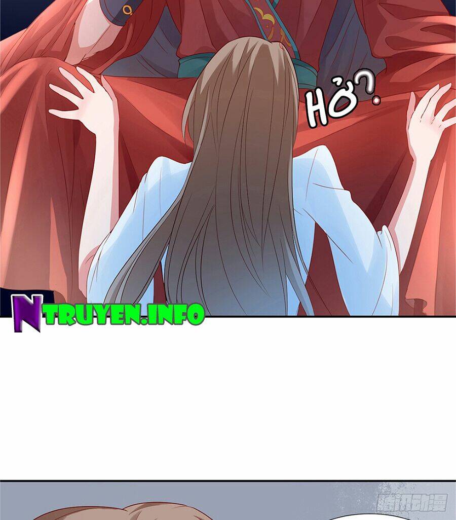 Hoàng Phi 9000 Tuổi: Chapter 3