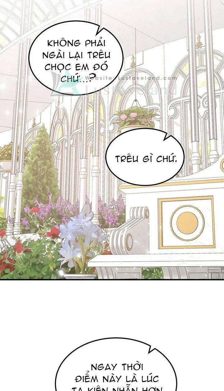 Công Tước, Loạn Vừa Thôi!: Chapter 113