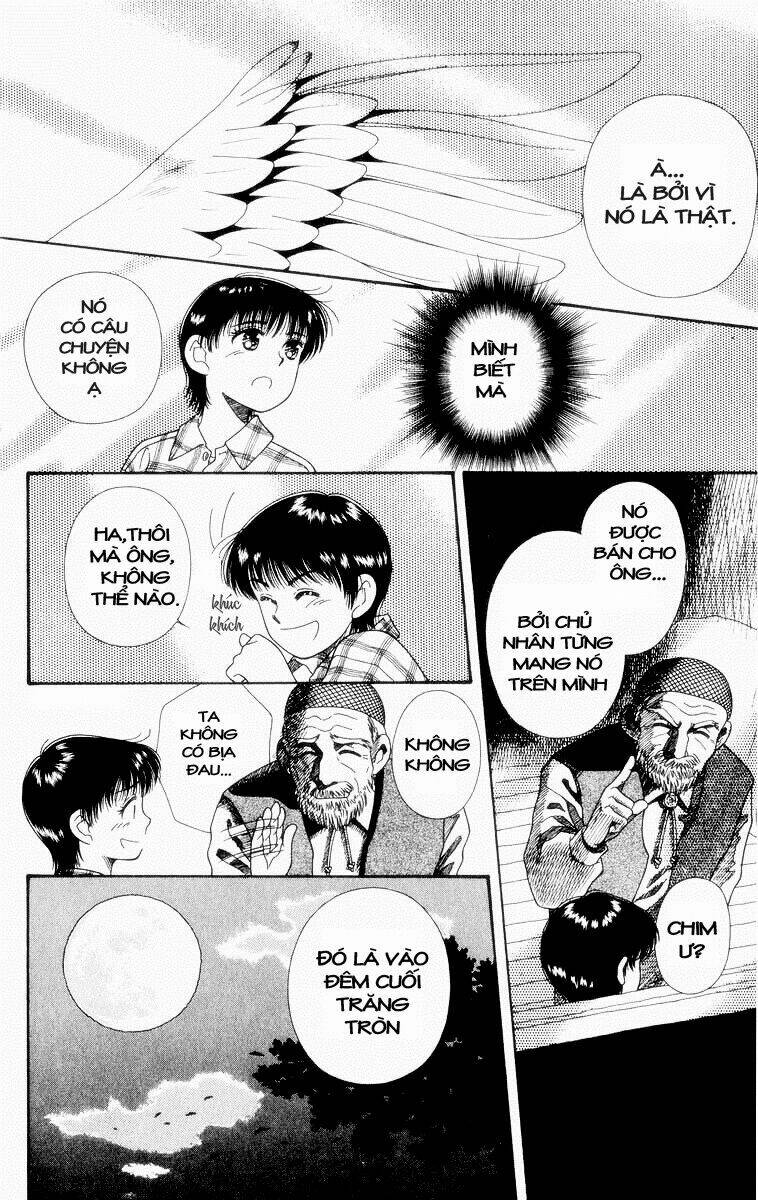 Lời Thì Thầm Từ Trái Tim: Chapter 5