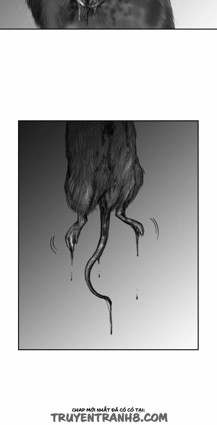 Hạt Giống Mỹ Nhân: Chapter 9