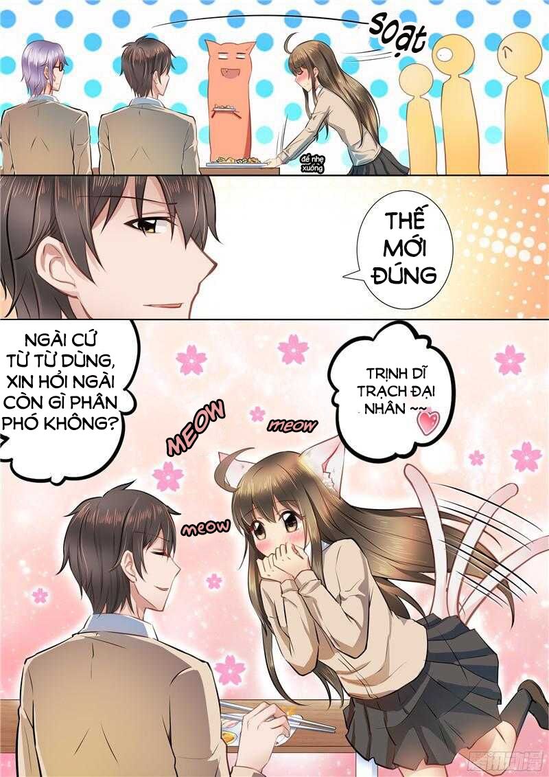 Người Thừa Kế Giá Đáo: Hiệu Thảo Làm Loạn Đủ Chưa?: Chapter 43