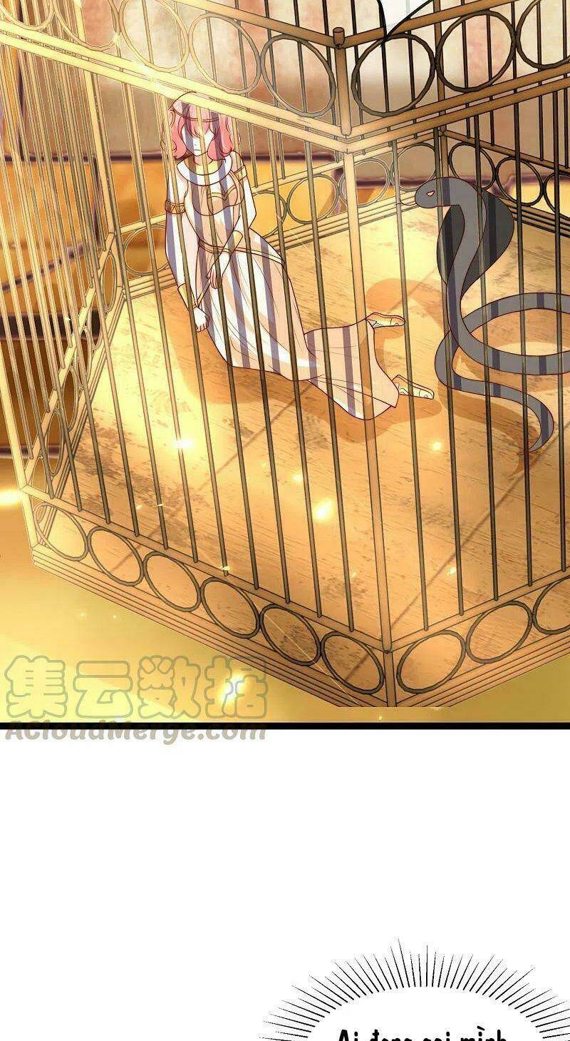 Sủng Hậu Của Vương: Chapter 119