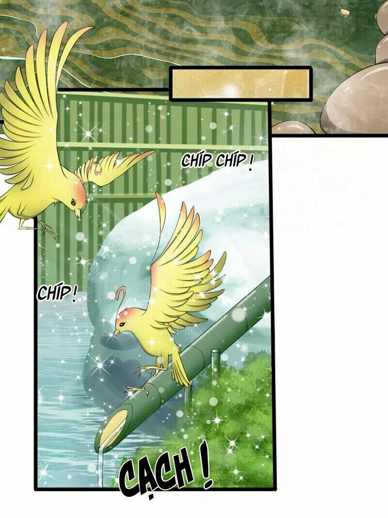 Phúc Hắc Lão Công Buông Em Ra: Chapter 67