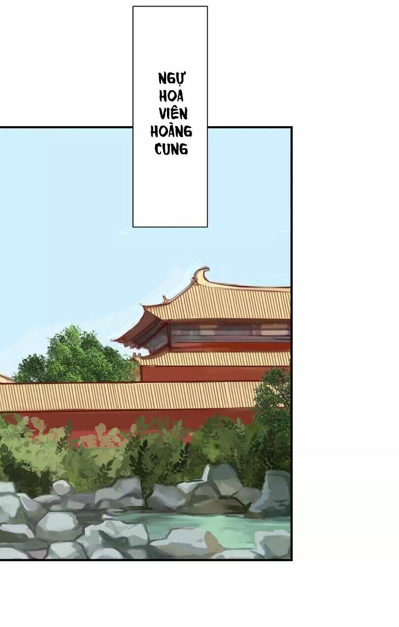 Chỉ Phu Vi Thê: Chapter 28