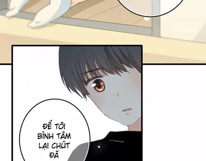 Con Tim Rung Động: Chapter 4