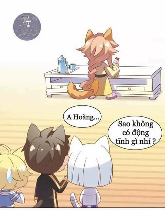 Dưới Móng Vuốt Mèo: Chapter 6